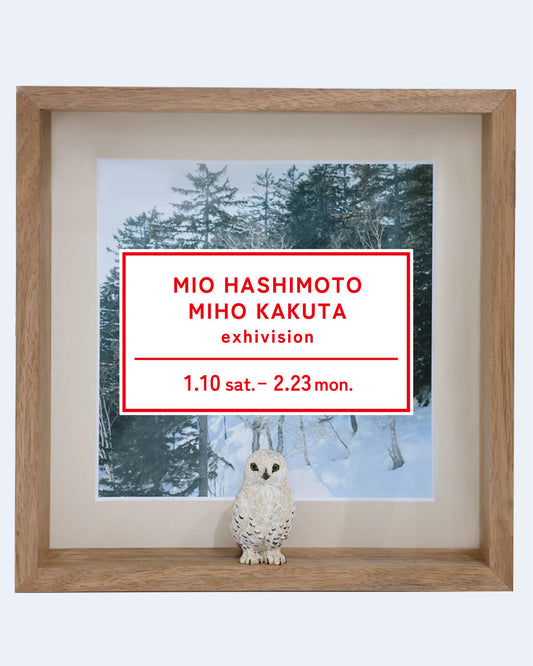 Mio Hashimoto × Miho Kakuta Exhibition 26/1/10 sat. - 2/23 mon.