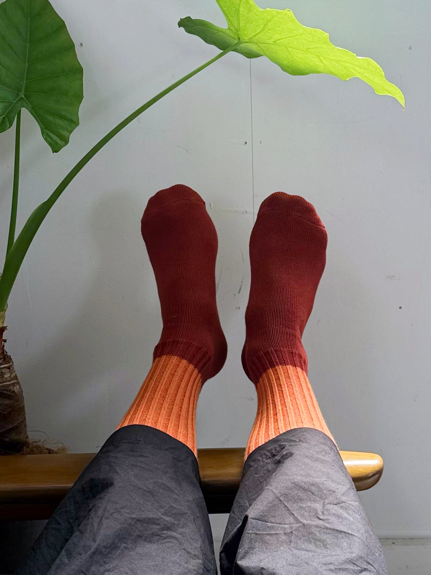 2×2 socks