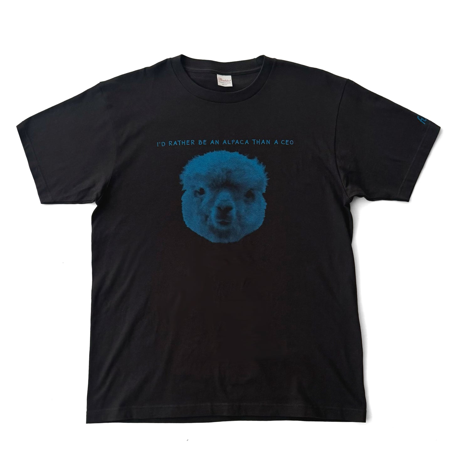 I'D RATHER BE AN ALPACA THAN A CEO