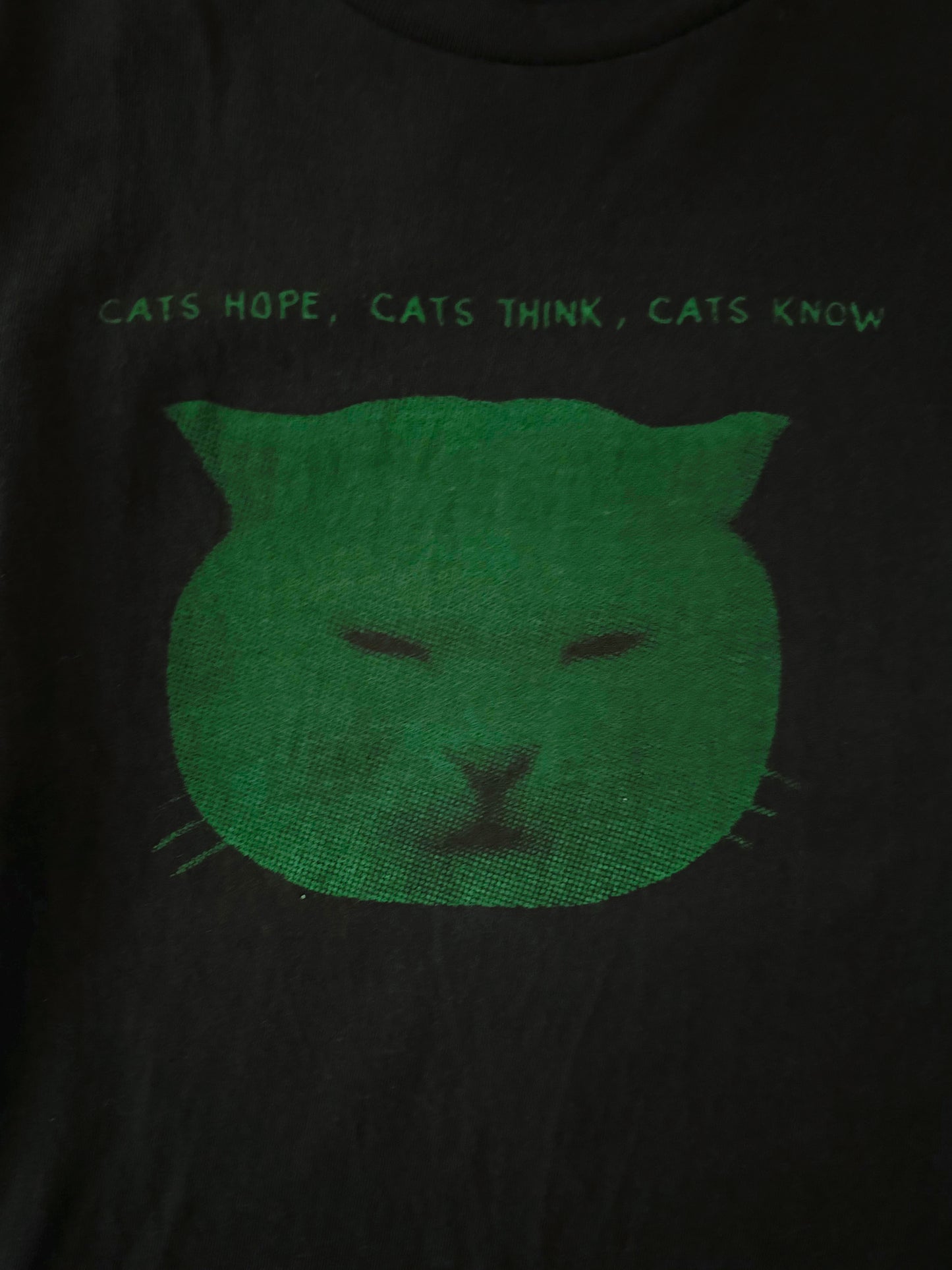 CAT HOPE, CAT THINK, CAT KNOW