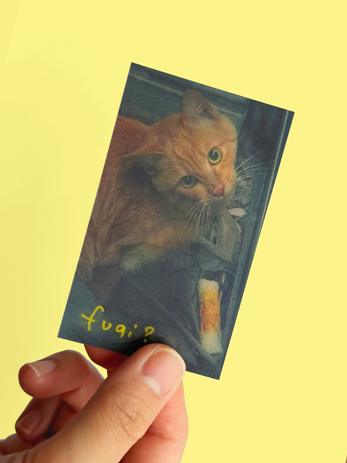 chikuwa cat lenticular