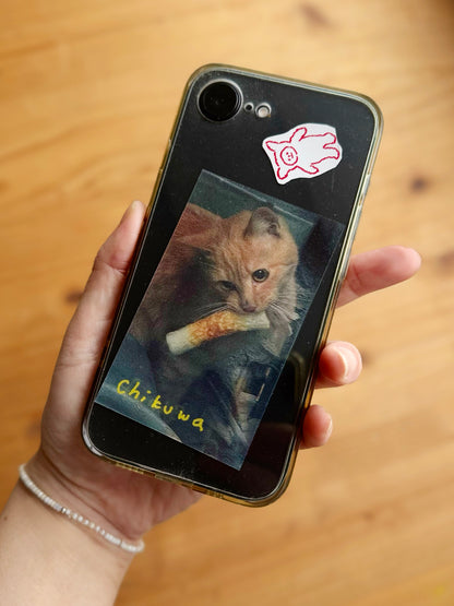 chikuwa cat lenticular