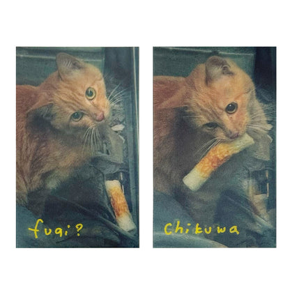 chikuwa cat lenticular
