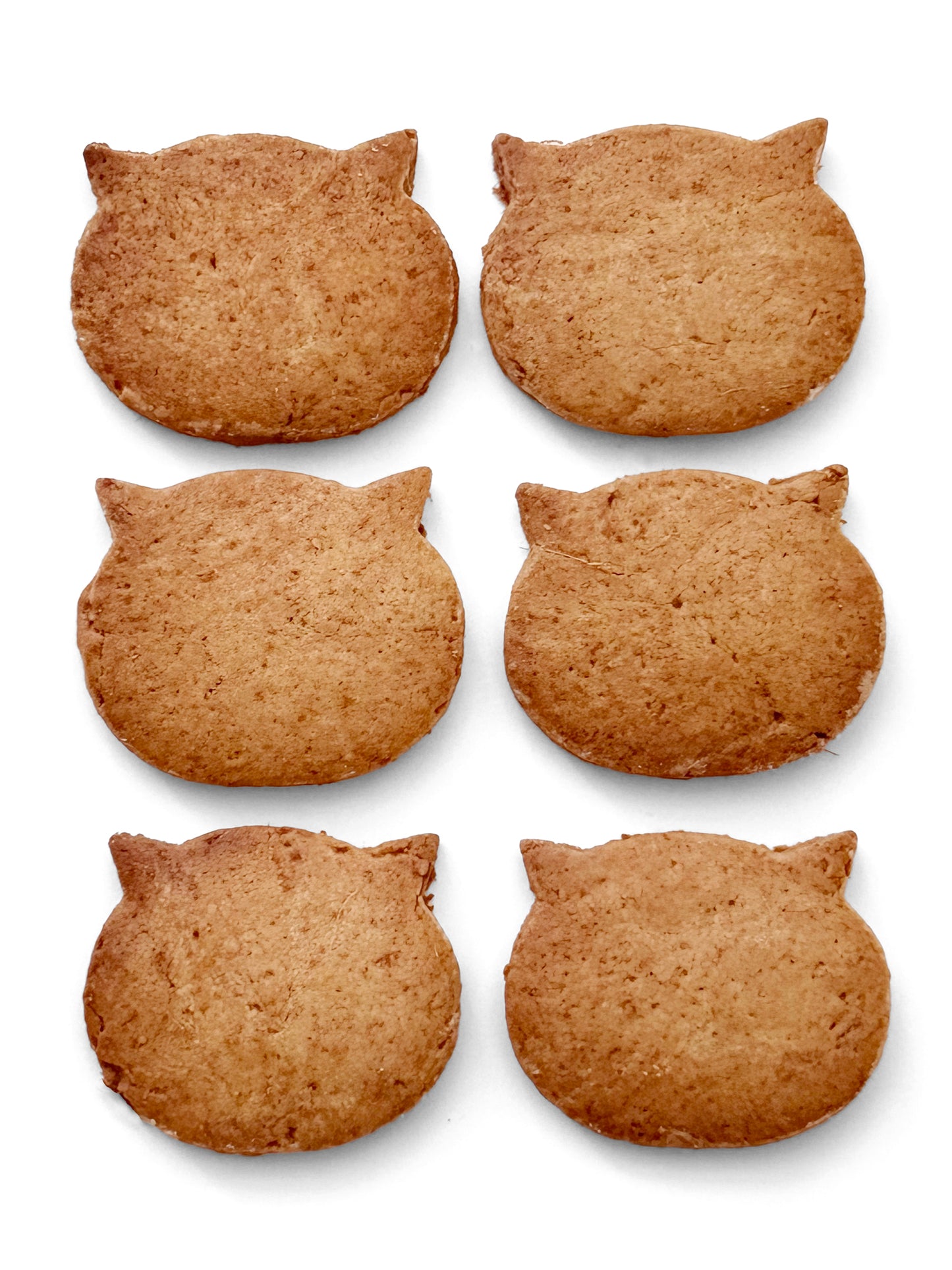 ginger cookie BOX