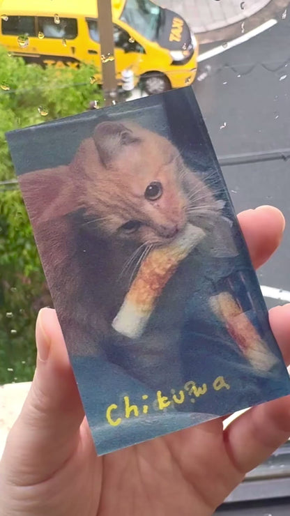 chikuwa cat lenticular