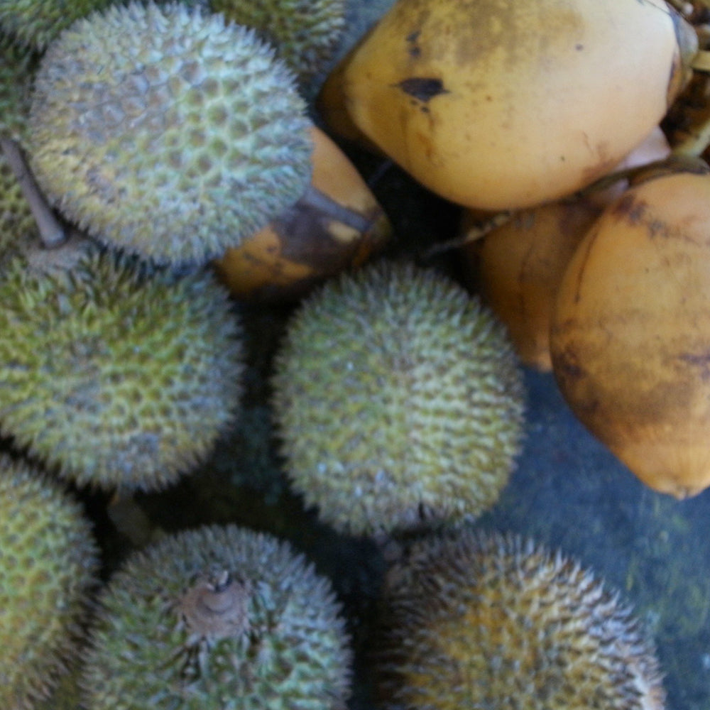 flavor tea / soursop